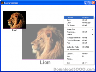 CaptureScreen screenshot